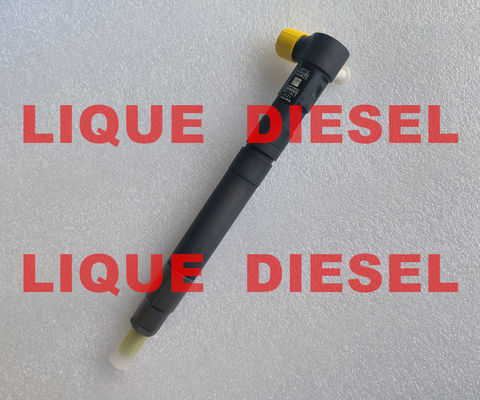 الصين DELPHI EMBR00301D حقن السكك الحديدية الشائعة R00301D 6710170121 A6710170121 لSSANGYONG Korando المزود
