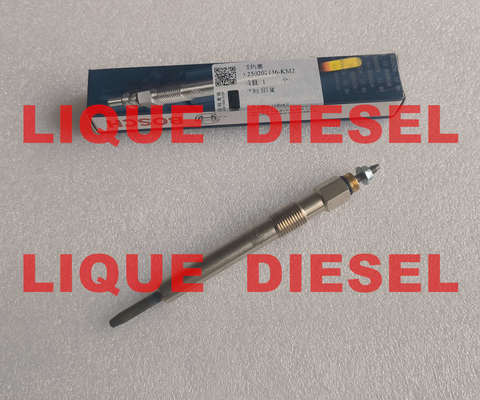 الصين BOSCH Glow plug 0250202136 3770100-E06 0 250 202 136 3770100E06  for Great Wall 2.8TC المزود