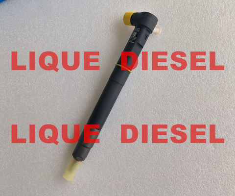 حقن الوقود DELPHI 28387604 6730170021 A6730170021 لـ SSANGYONG Tivoli الأصلي OE A 673 017 00 21 المزود