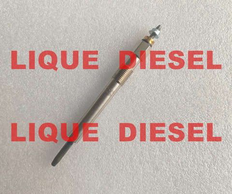BOSCH Glow plug 0250202136 3770100-E06 0 250 202 136 3770100E06  for Great Wall 2.8TC المزود