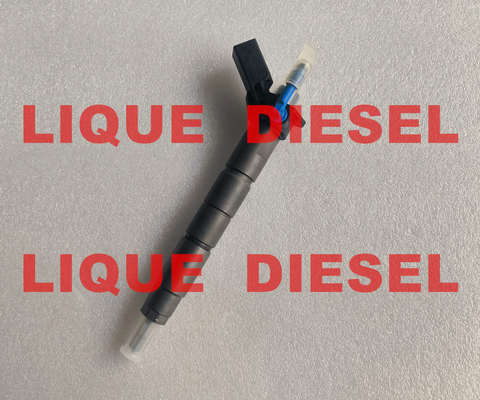 BOSCH Common rail injector 0445117047 0445117048 0 445 117 047 0 445 117 048 0445117 047 0445117 048 المزود